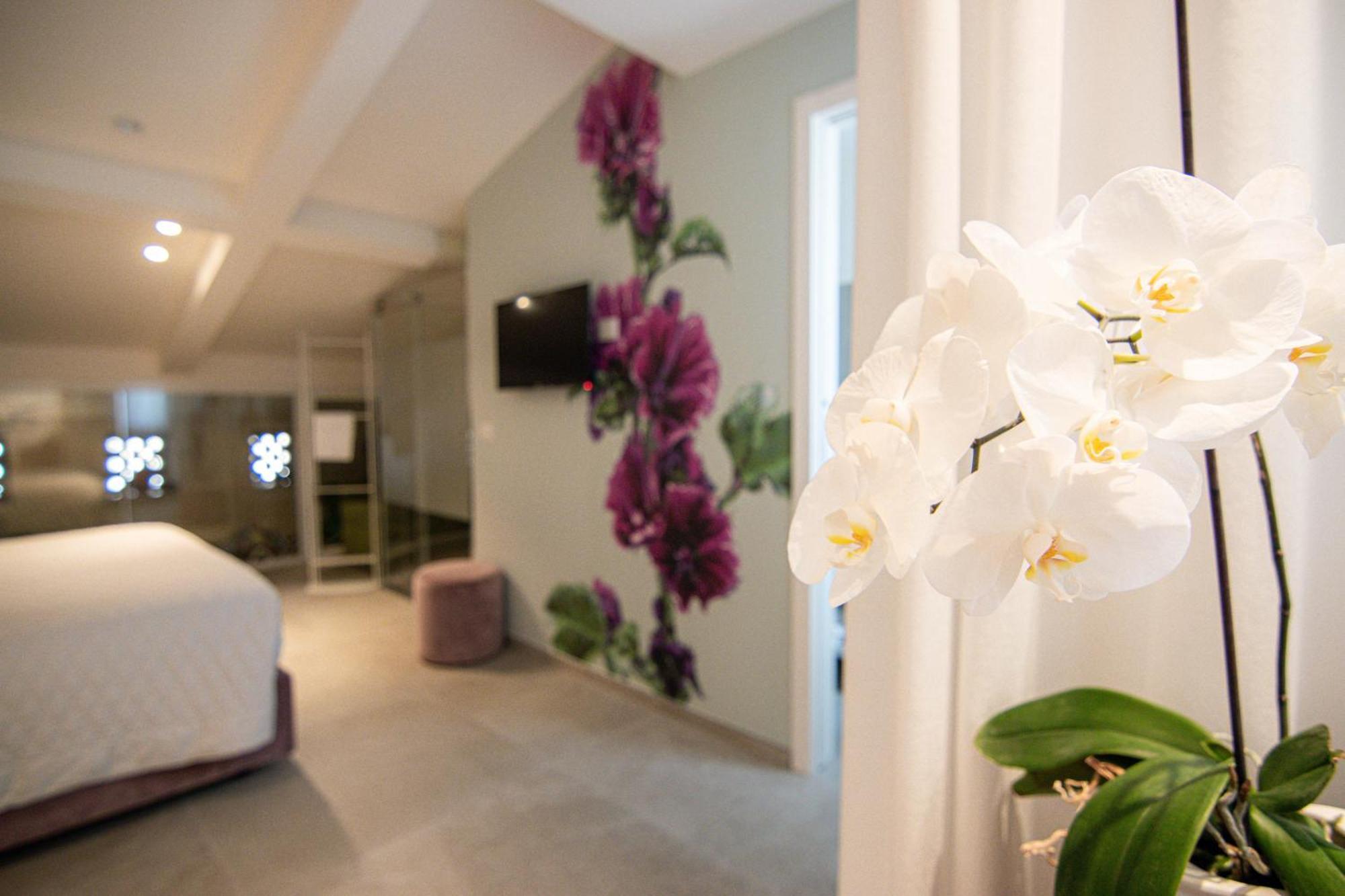Profumi Di Primavera Luxury Rooms & Suite Matera Eksteriør billede